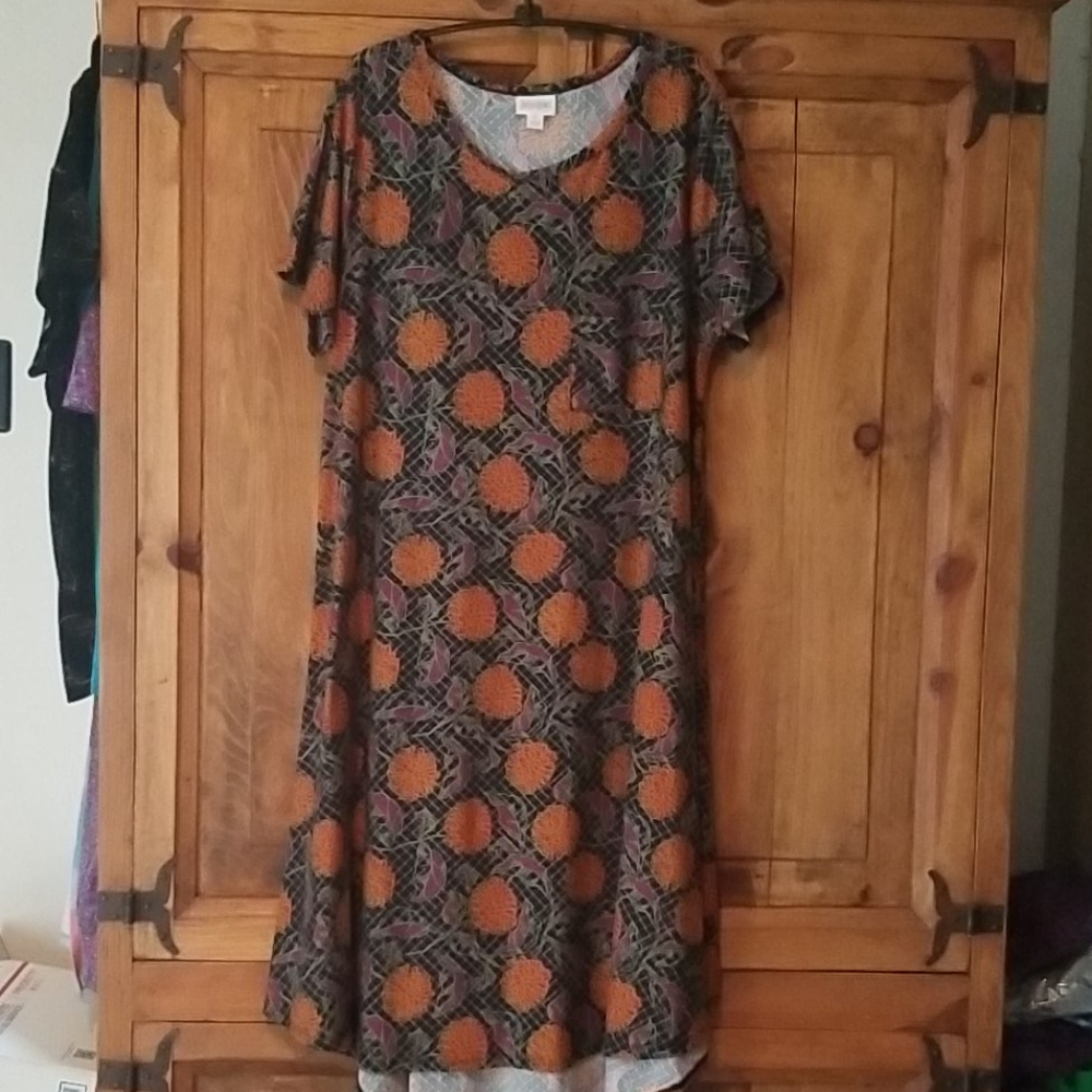 Multi colored dress